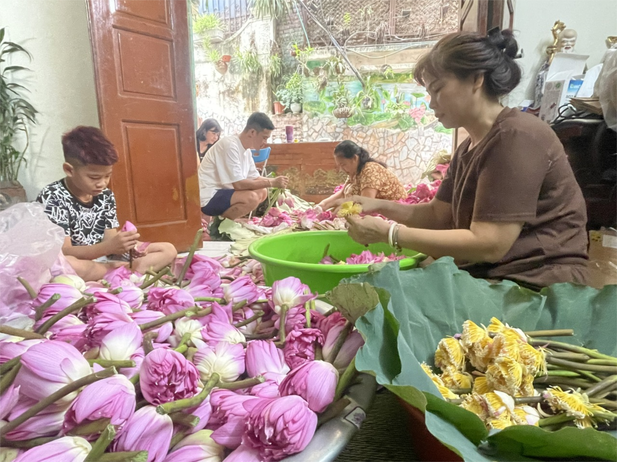 Loạt bài: Trà ướp sen Tây Hồ: Lắng đọng “chất” Hà thành.  Bài 1: Khám phá nghệ thuật ướp trà sen Tây Hồ - tinh hoa văn hóa người Hà Nội